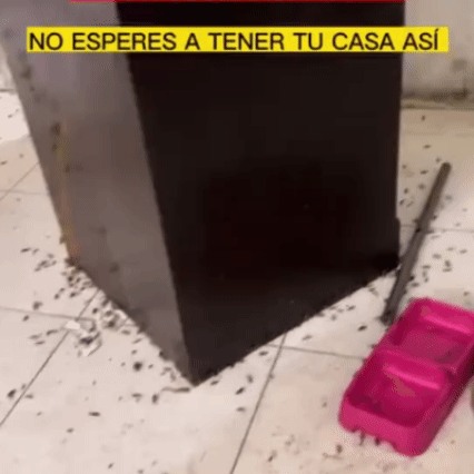 Trampa Asesina de Cucarachas