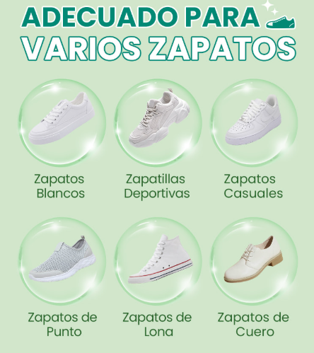 Limpiador de Zapatos Profesional