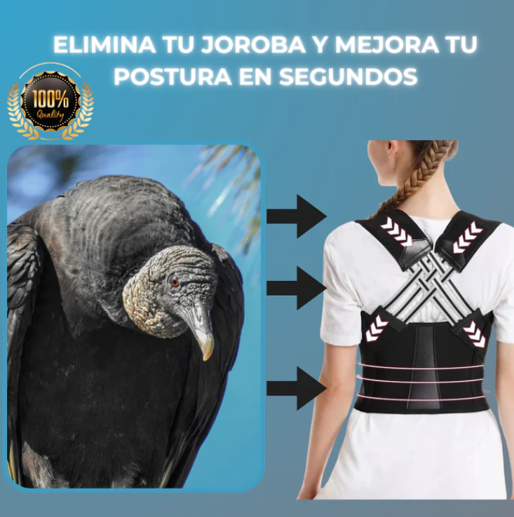 FlexBack Corrector de Postura Unisex Premium (Pedir 1 talla + de la que usas) + Regalo Adicional