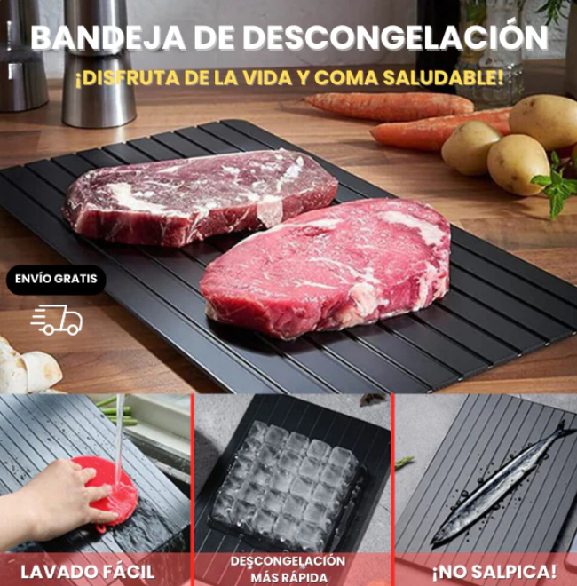 Defrost Express Bandeja de Descongelación Rápida