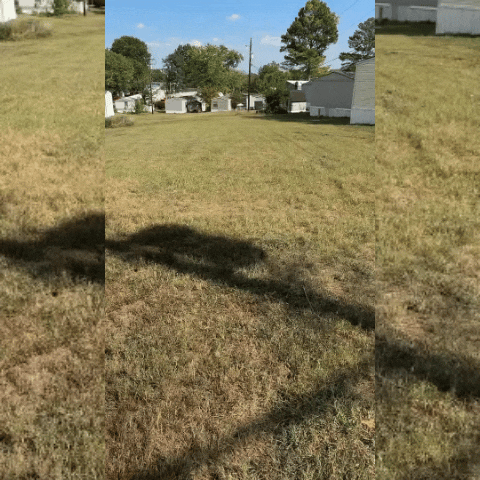 Limpia Hígado Plus Natural Forte