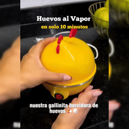 Huevera Pollito Rápida